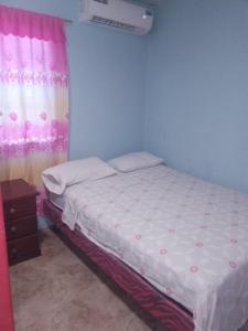 曼塔HOTEL EL CASTILLO MANTA2的一间卧室配有一张床和粉红色窗帘
