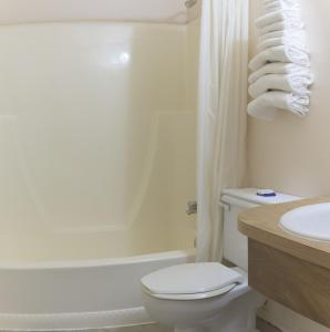梅迪辛哈特太阳露台汽车旅馆的浴室配有卫生间、浴缸和水槽。