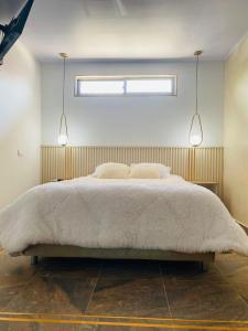 TurbacoApartaestudio Turbaco的一间卧室配有一张大床和两个枕头