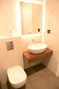 贝尔格莱德Kondina Suites的一间带水槽、卫生间和镜子的浴室