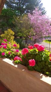 Balneario IporaLa Casona del Lago的花园里的一束粉红色的花