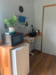 蒙得维的亚Guest Tiny House - lake side的厨房的台面上配有微波炉