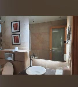 斋浦尔HOTEL FLAMINGO的一间带卫生间、水槽和镜子的浴室