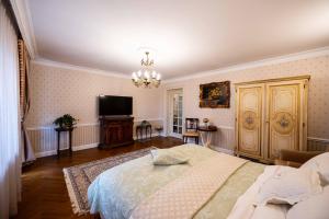 克拉约瓦Apartament Boem în Inima Oraşului Craiova的一间卧室配有一张床和一台平面电视