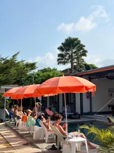 班拉克海滩苏梅岛背包客旅馆的一群人坐在草坪椅上,在伞下
