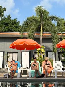 班拉克海滩苏梅岛背包客旅馆的一群人坐在游泳池旁的草坪椅上