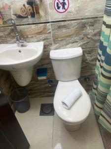 开罗Badr pyramids inn的浴室配有白色卫生间和盥洗盆。
