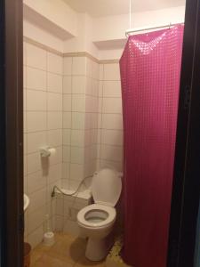PrăjilaPensiunea Madalina - LIMARA的浴室设有卫生间和粉红色的淋浴帘