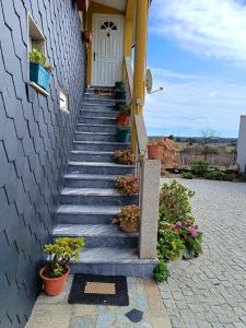 PegarinhosCasa da Oliveira的通往种植盆栽植物的房子的楼梯