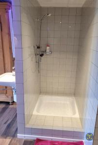 克罗伊茨林根Charmante Waldrandidylle的带淋浴和浴缸的浴室
