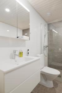 赫尔辛基Modern LUXUS 3BR apartment Helsinki Tripla的白色的浴室设有卫生间和淋浴。