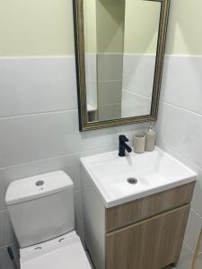塔什干Alleya Gagarina的一间带水槽、卫生间和镜子的浴室