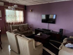 弗里敦Berakah cozy Rentals的客厅配有2把椅子和平面电视