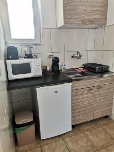 特佩杰卡Apartments Krste的厨房配有白色微波炉和冰箱。