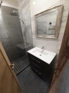 尼姆Le studio D'auguste- Cœur de Nîmes-chaleureux-emplacement idéal的一间带水槽、淋浴和镜子的浴室