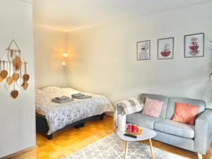 赫尔辛基Puma's central flat in Helsinki的客厅配有沙发和1张床