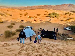 瓦迪穆萨Petra Desert Dream Hotel的一群人走在沙漠中