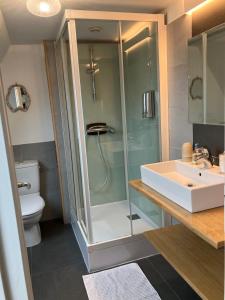索姆河畔的圣瓦列里Chambres avec Vue的带淋浴、盥洗盆和卫生间的浴室