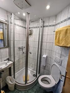 卡塞尔市政厅酒店的带淋浴、卫生间和盥洗盆的浴室
