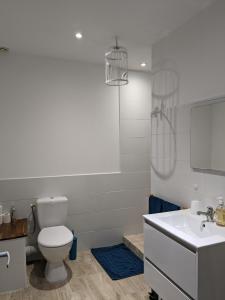 拉罗什波赛Les Jolis Nids - Studio Rouge Gorge的白色的浴室设有卫生间和水槽。