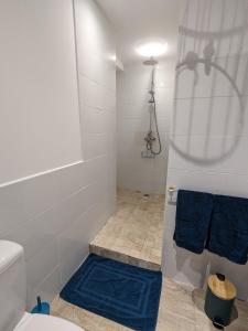拉罗什波赛Les Jolis Nids - Studio Rouge Gorge的带淋浴的浴室和蓝色地毯。