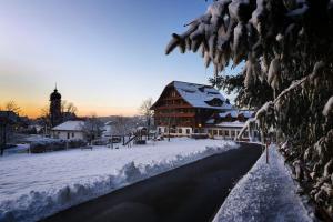 HeiligkreuzHotel Kurhaus Heiligkreuz的街道旁的积雪覆盖的建筑