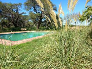 Pampa Cottage的一座高大的草地上的游泳池