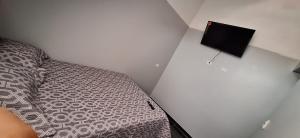 奥克萨潘帕Hospedaje dominguez的一间卧室配有一张床,墙上配有电视