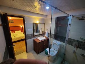 列城Dream Ladakh Guest House的带淋浴、卫生间和盥洗盆的浴室