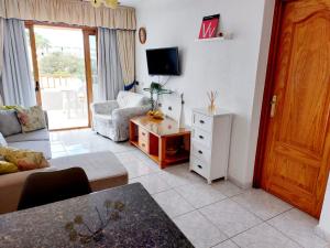 阿德耶FIRST LINE Los Geranios Ocean View Apartment Air Conditioned 50 m from La Pinta beach的带沙发和电视的客厅