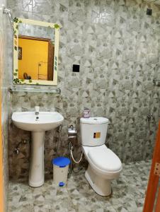 达瓦拉维Milk House Cottage的一间带水槽、卫生间和镜子的浴室