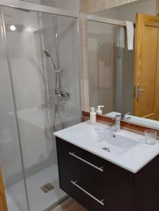 托罗克斯科斯塔帕莱索索尔公寓的一间带水槽和淋浴的浴室