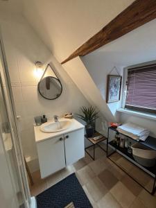 EckwersheimCharmant Appartement proche Strasbourg à Eckwersheim的一间带水槽和镜子的浴室