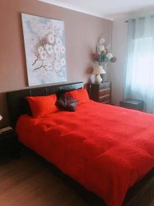波瓦圣塔伊里亚Apartamento com boa localização e Conforto的一间卧室配有红色枕头和一张红色大床