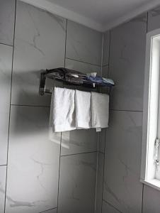 罗托鲁瓦Your Home in Rotorua 3 Frank Street的浴室配有毛巾架和毛巾