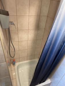 巴拉顿菲兹弗Vár-Lak Apartman的浴室内配有蓝色淋浴帘