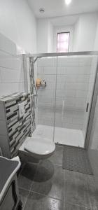 卢尔德Maison Cosy的白色的浴室设有淋浴和卫生间