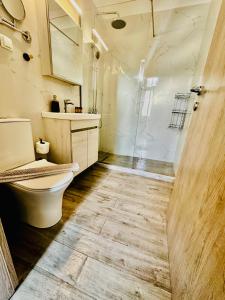 Ágios RókkosTravelers Luxury Suites, Studios & Apartments的一间带卫生间和淋浴的浴室