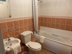 甘尼斯莱克Honicombe Valley lodge 25的浴室配有卫生间、浴缸和水槽。