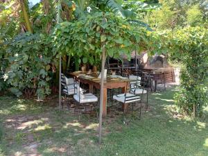 BeccarA estrenar, en San Isidro.的树下木桌和椅子