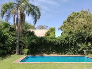 BeccarA estrenar, en San Isidro.的棕榈树庭院中的游泳池