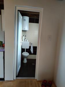 RogaticaVikendica Varosiste Rogatica的浴室配有白色卫生间和盥洗盆。