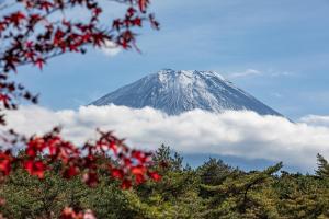 富士河口湖Motosu Phoenix Hotel的云中山,前方有红花