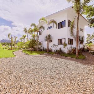 Hone CreekModern home with pool的棕榈树的白色房子和砾石车道