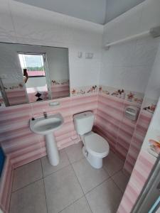 伊基托斯Casa Alojamiento Picuro Lodgind的粉红色的浴室设有卫生间和水槽