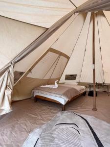 BhurkīāBurhan Wilderness Camps的帐篷中间设有一张床