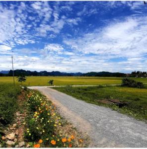峰牙Palafita Bungalow的田边有花的土路