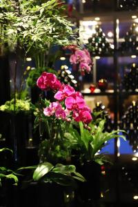 北京北京富力万丽酒店的花瓶里一束粉红色的花