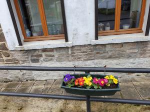 Vireux-MolhainLA FOLLE PARENTHESE的窗前栏杆上的一盆花