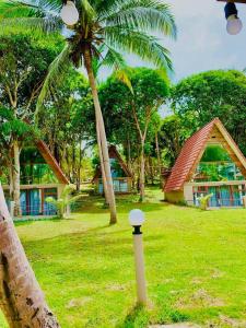 Phumĭ Kaôh RŏngKoh RhongSunshine Resort的草上有一棵棕榈树和一根杆的房子
